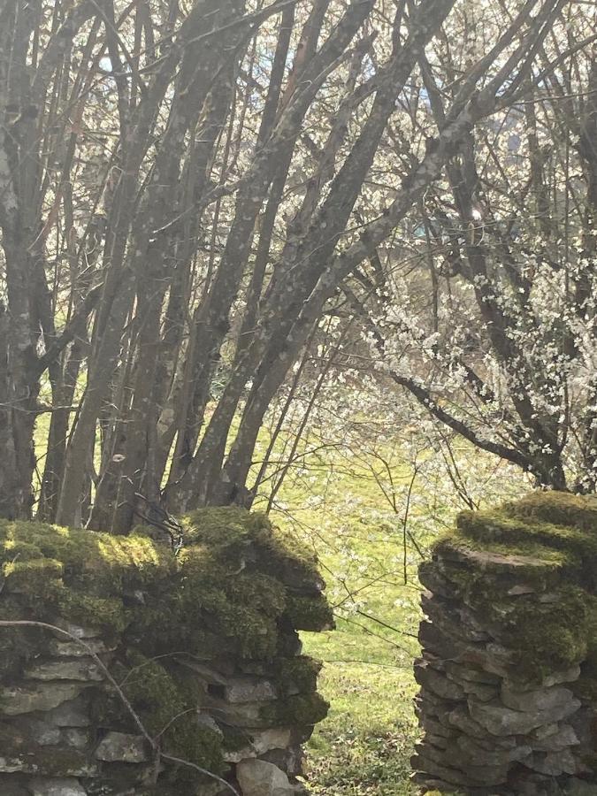 Le Jardin De Theleme "Charme Discret Pour Un Nid Douillet" Villa Mazille Exterior photo